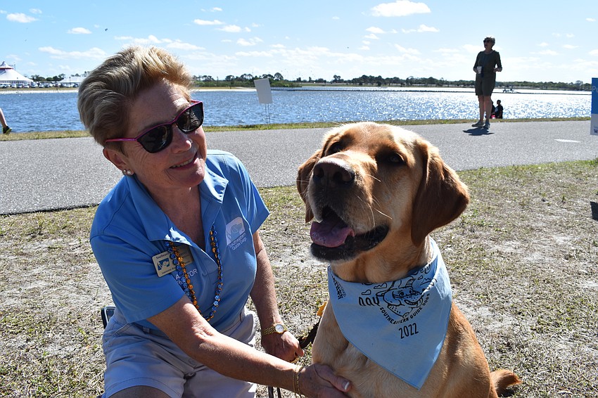 The Sarasota Polo Club mascot for 2020, Mason Chukker, gets a belly rub from Alex Jeanroy, the Lakewood Ranch co-area coordinator for Southeastern Guide Dogs.
