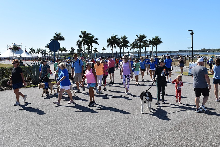 The Southeastern Guide Dogs Walkathon nears the turn onto Cattleman Road.