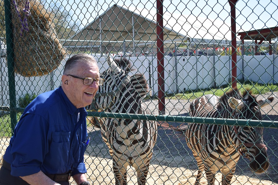 William Hatt of Ã‰lan Manatee visits with a zebra for the first time at Rye Road Giraffes in East County.