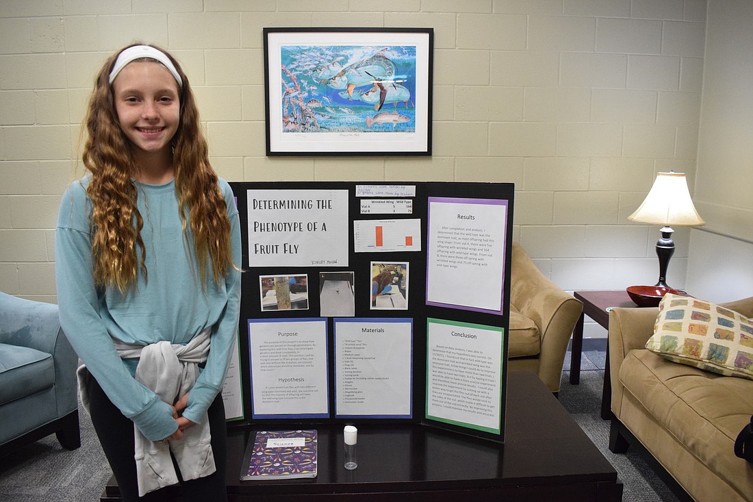 Kinley McCaw, a sixth grader at Dr. Mona Jain Middle School, studies the phenotype of fruit flies to see the dominant and recessive genes. Photo by Liz Ramos.