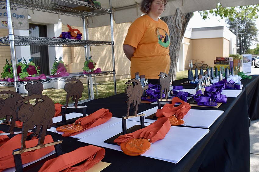 Trophies awaited the winners and runners up in a variety of categories for both on-track performance and design.