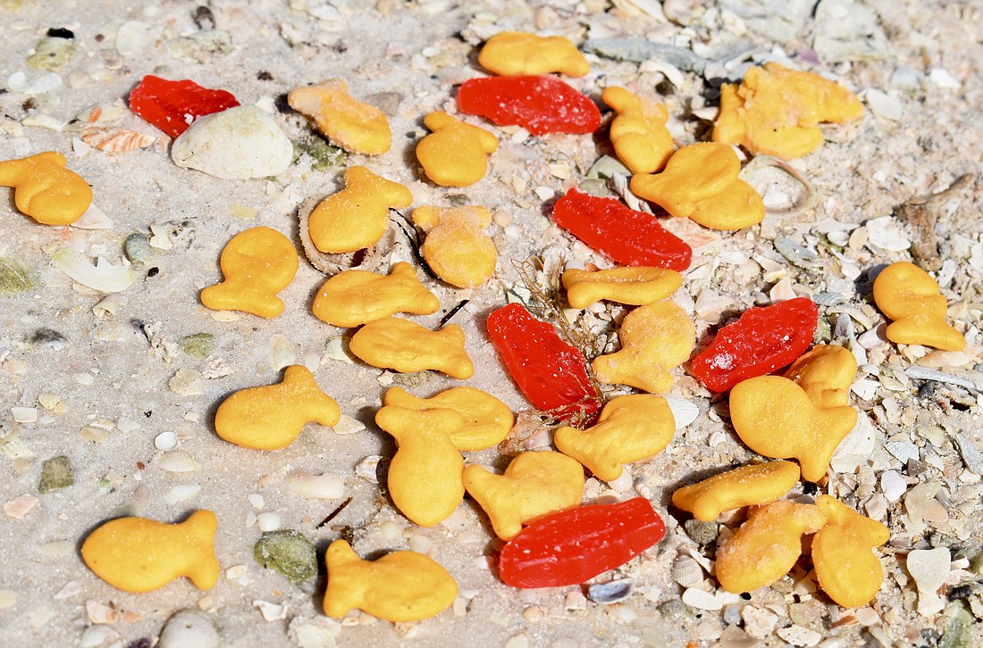 We cleaned up after ourselves after spilling Goldfish and Swedish Fish on the shoreline of Quick Point Park (on National Cleanup Day 2022 of all things).