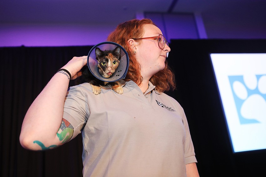 Kristina Cherry shows Sydney the cat to the audience.