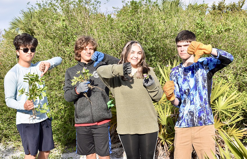 Volunteers from Sarasota High's Sailor Bay club signal their disdain for invasive plant species: From left, Riley Plank, Owen Bahan, Liv Doura and Nicholas Cox.