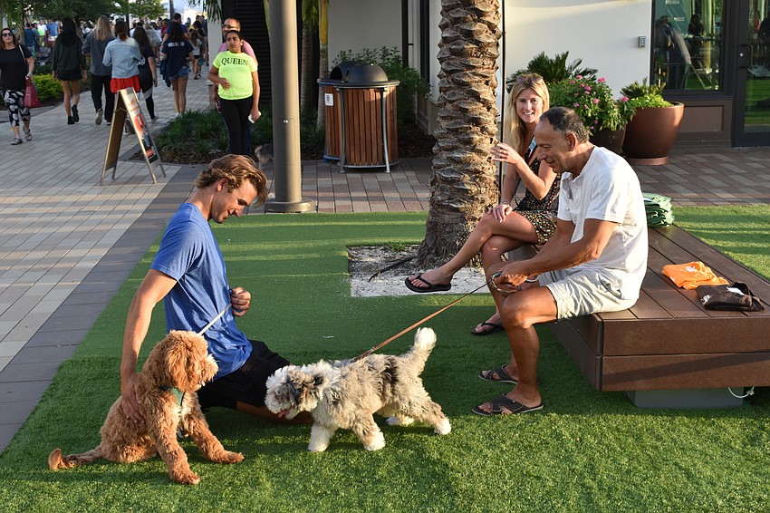 Waterside's Scott Skage and Eryn Keiser and their dog Whiskey socialize with Waterside's Ed Pires and his dog Teddy.