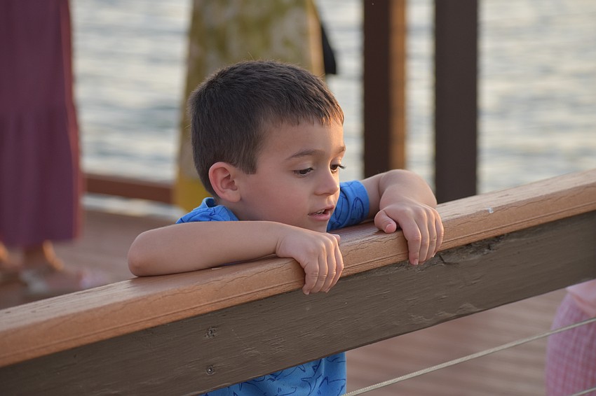Lakewood Ranch's Leo Millea, who is 4, finds a Florida softshell turtle in the lake at Waterside Place.