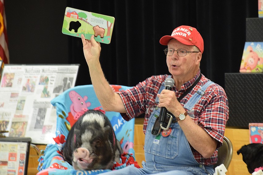 Daisy the pig sits quietly as Paul Minor reads 