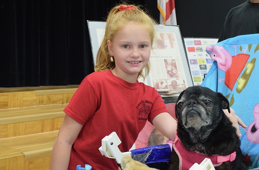 Second grader Olivia Jones loves meeting Dixie Cup, a pug.