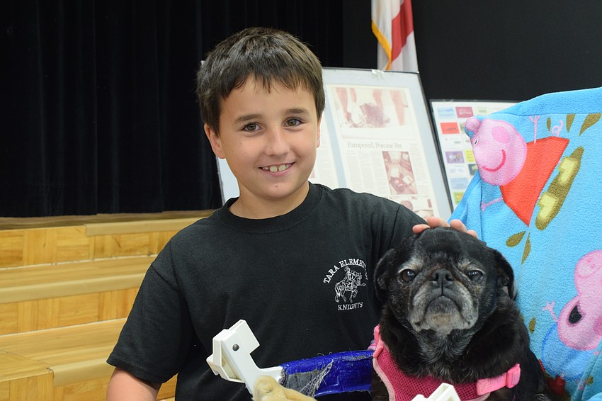 Second grader Michael Samson, who loves animals, is excited to meet Dixie Cup.