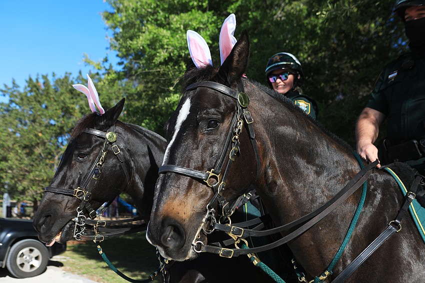 Patrol mount horses had bunny ears of their own.