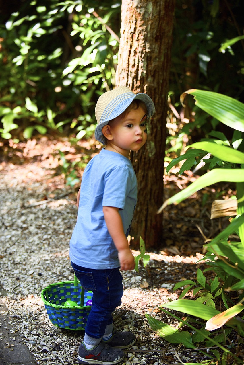 Liam Packer hunts for more egg treasure.