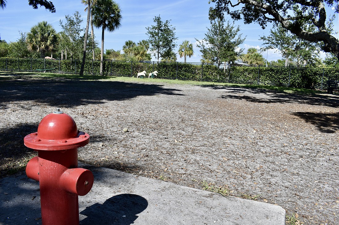 After a summer resod in 2021, broad swaths of dirt have returned to the Bayfront Park dog park.