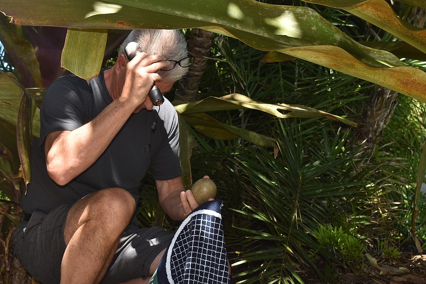 Bob Knox looks at Lydia's egg.
