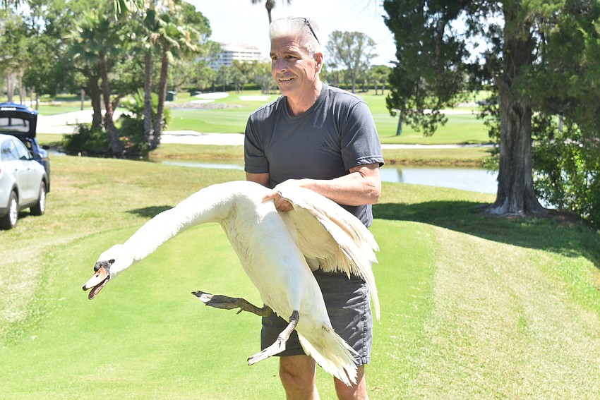 Bob Knox carries Lydia back to the water.