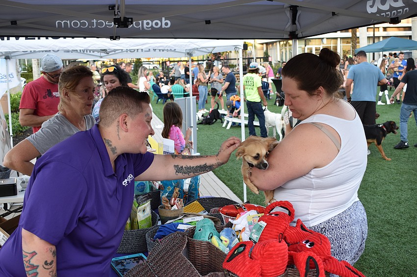 Kara Tollend and Lauren Littlejohn of Dog Perfect meet Wren, the long-haired Chihuahua that Palm Aire resident Shannon Lowe adopted from Nate's Honor Animal Rescue.