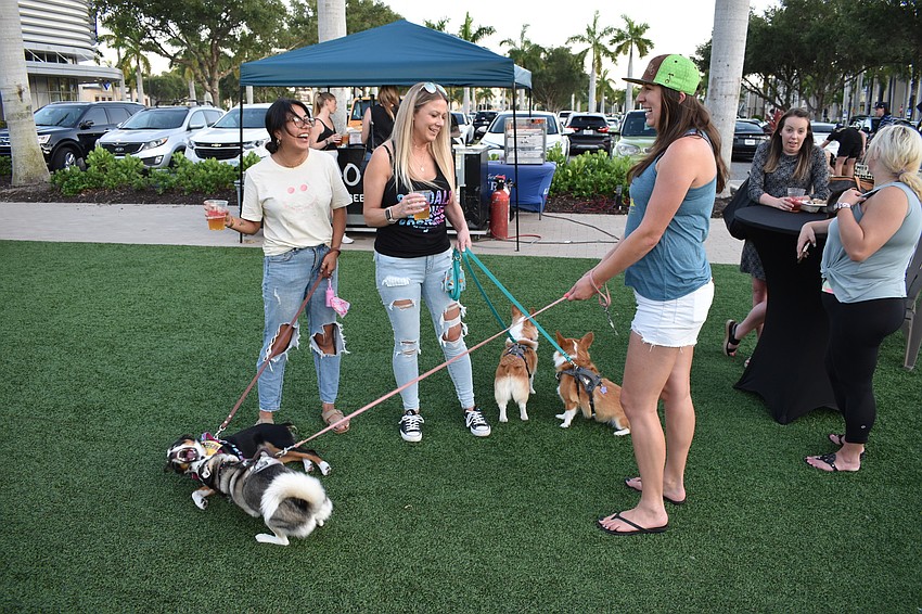 Sarasota residents Nataly Lanteingne and Jessica Meigs and their dogs visit with Sarasota's Jul Kime and her dog.
