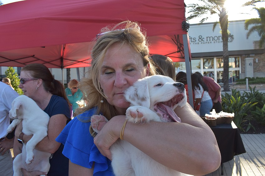 Nate's volunteer and Bradenton resident, Amy Smith, holds Beluga, a hound mix.