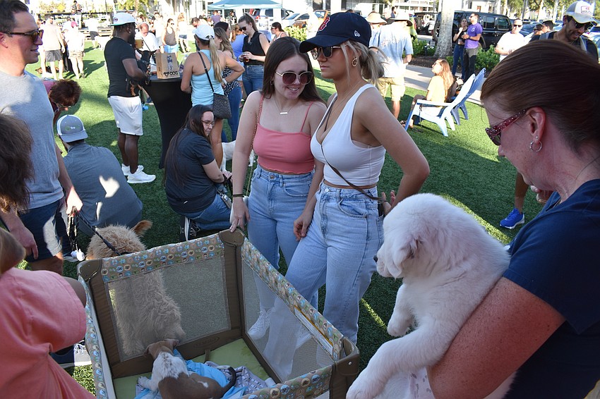 Nate's Honor Animal Rescue brought along some of its hound mixes for attendees to meet.