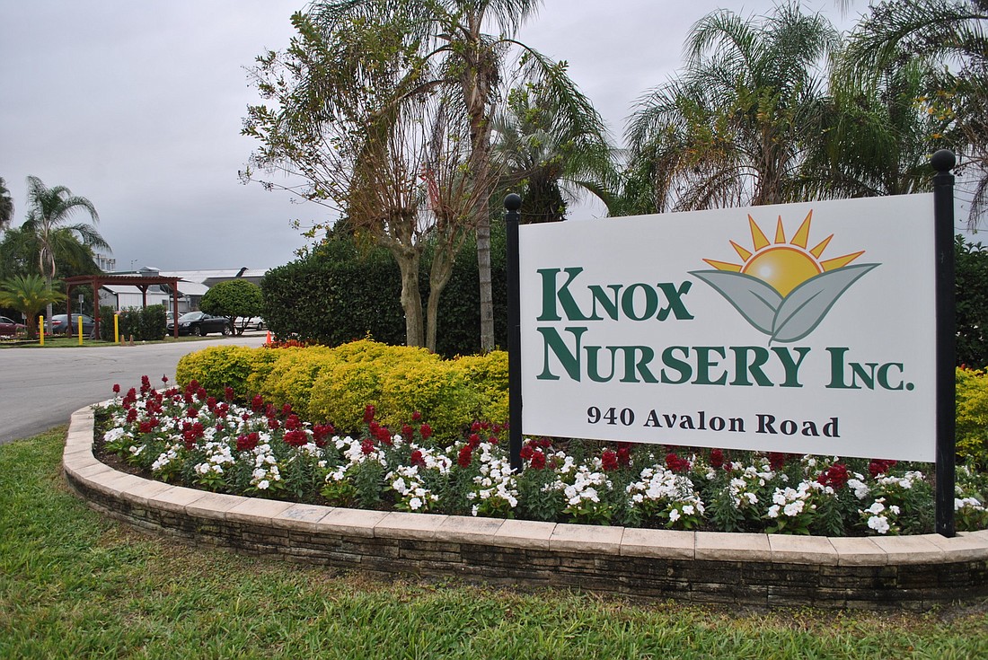 Local greenhouses at Knox Nursery will be the first to legally produce medical marijuana in Central Florida.