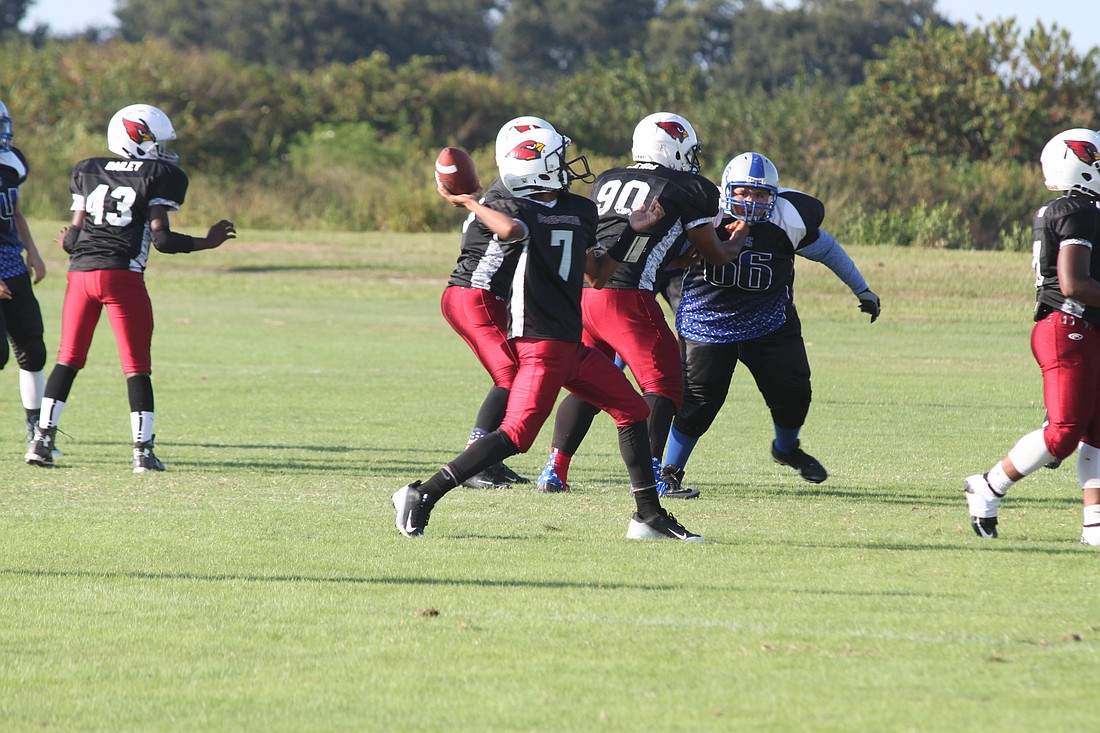 The Ocoee Cardinals took care of business at AYF Southeast Regionals to advance to Nationals.