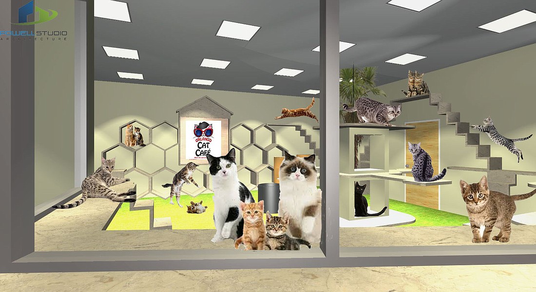Rendering of what the cat play area will look like at the Orlando Cat Cafe.