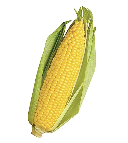 Corn-JUMBO