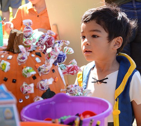 GALLERY: Montessori of Winter Garden Charter School 2015 Fall Fest