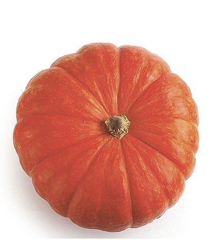 Ripe for the picking: Where and how to pick a pumpkin