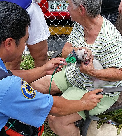 Pet Rescue, Pet Oxygen Mask, Photo2, 07-01-15