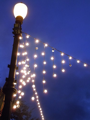 Photo by: Clyde Moore - Christmas lights are already hung from lamp posts up and down Park Avenue.