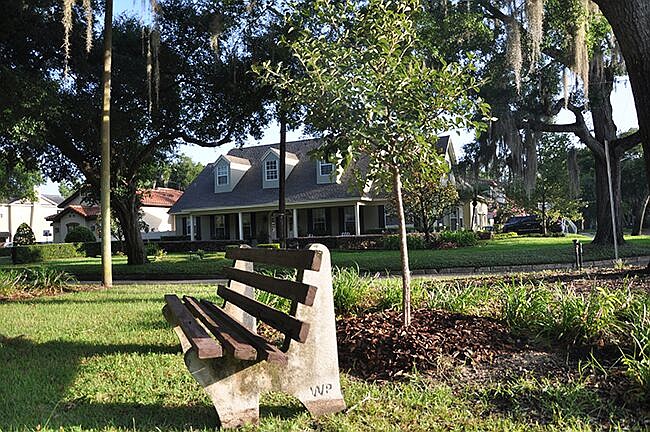 Photo by: Tim Freed - Trees celebrating centenarians are already popping up around Winter Park.