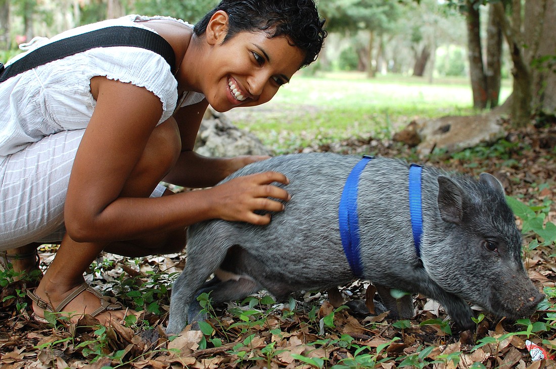Photo by: Tina Russell - Sophia Eristen, 24, of Orlando brought her potbelly pig, Rhys, to the 11th Annual Independence for Animals Potluck.