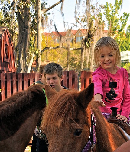 Photo by: Julie Foley - Crealde Family Fest will feature pony rides.