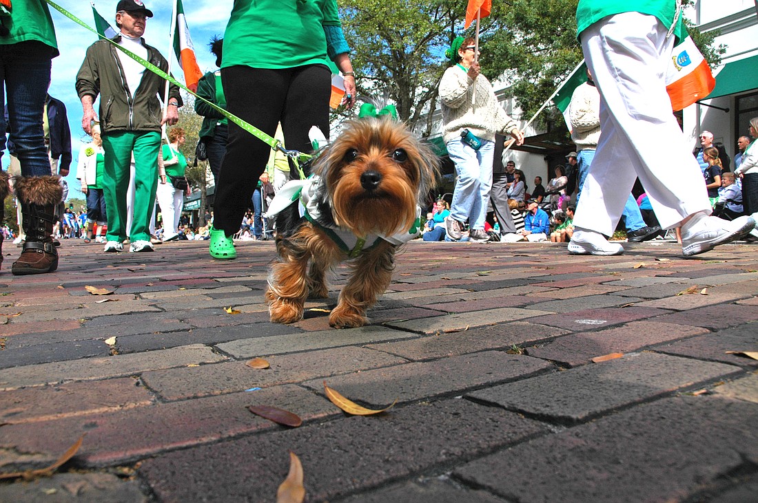 Photo by: Isaac Babcock - Winter Park Dog Walk will be held from 8 a.m. until noon, May 19, at the Cady Way Trail.