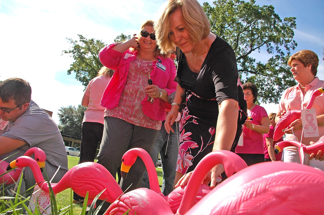 Photo by: Isaac Babcock - Winter Park Economic Development Director Dori Debord plants her flamingo.