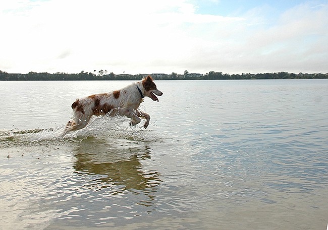 Photo by: Isaac Babcock - Our local lakes have gotten a healthy dose of rain replenishment this summer, but half the state is still facing drought conditions.