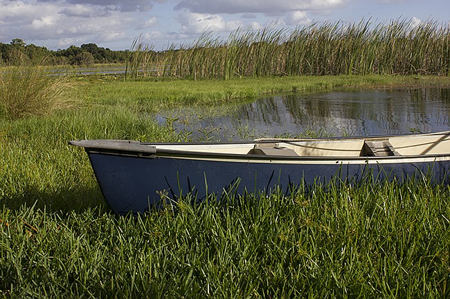 Photo by: Sarah Wilson - Nearby residents have already expressed displeasure about a project that would replace a wetland with a pond at the Maitland Concourse North development on the west end of Maitland.