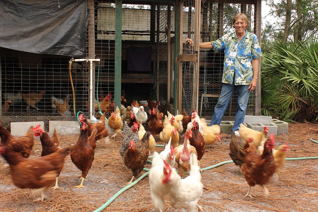 Photo by: Sarah Wilson - A group of home food growing enthusiasts is hoping to change a century-old law in Winter Park prohibiting residents from keeping chickens.