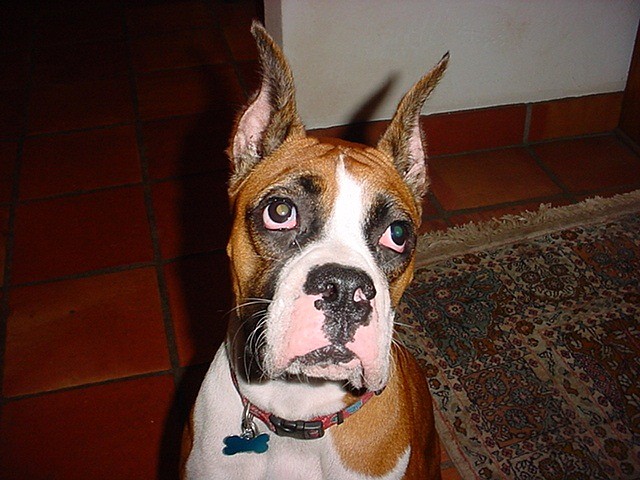 Photo by: Clyde Moore - Katie