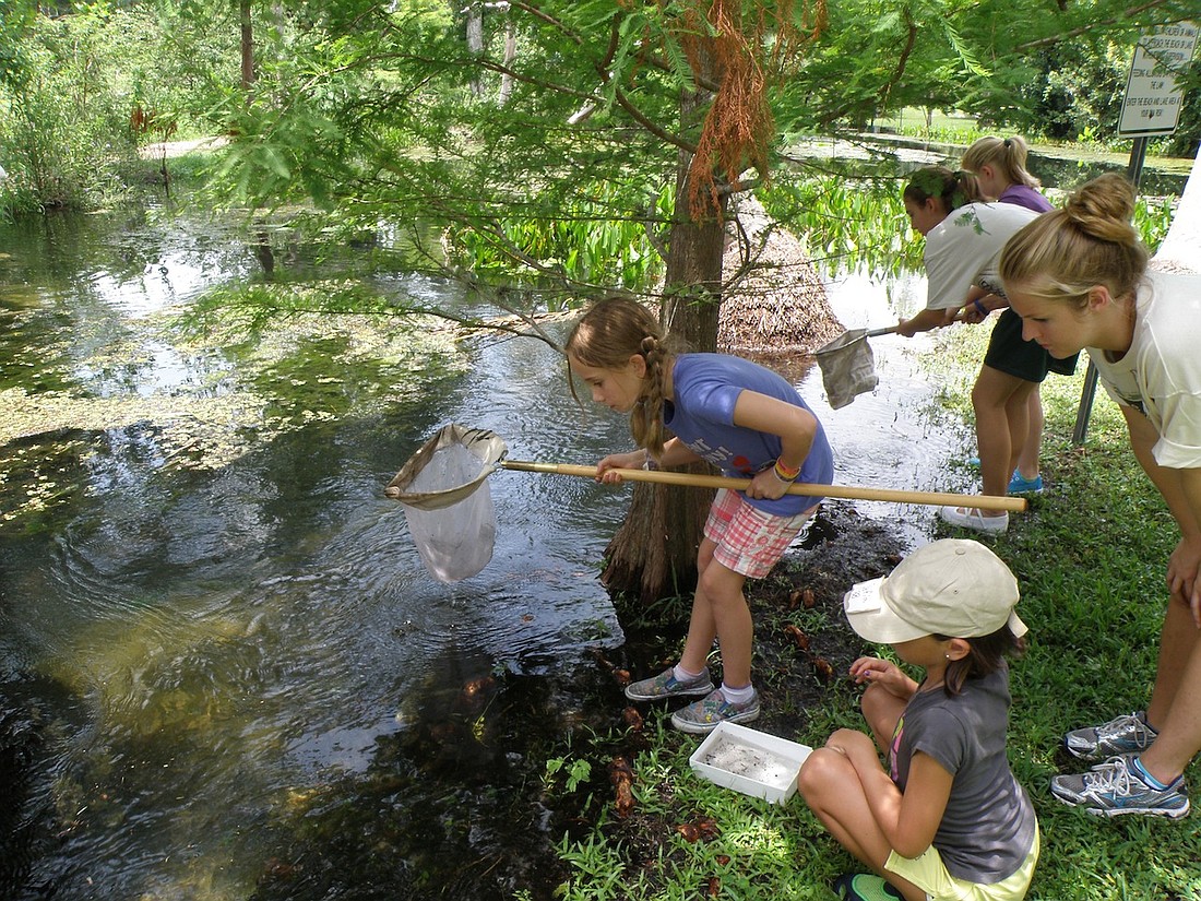 Enjoy some good old-fashioned summer fun at Mead Garden's Young Naturalist summer camp.