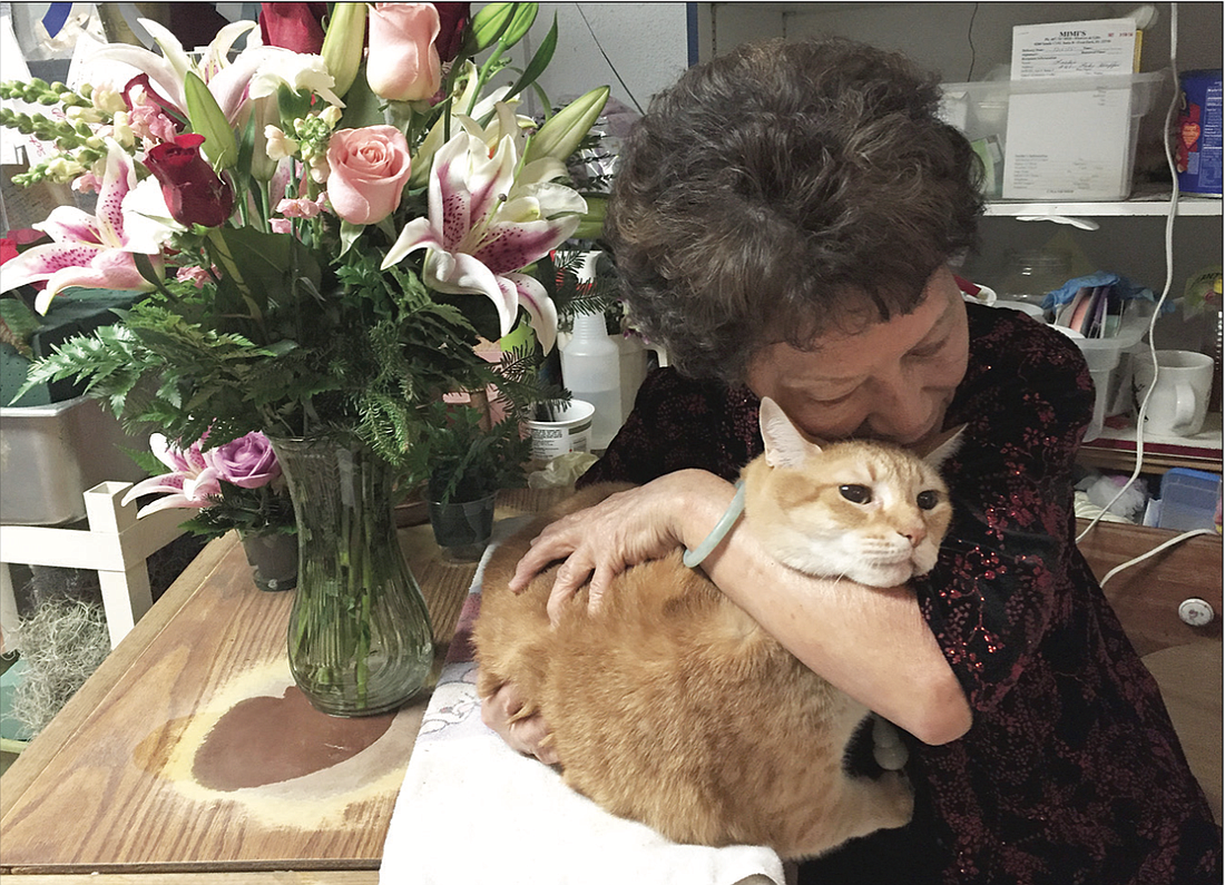 Photo by: Ciara Varone - Mimi Chin, 77, helps homeless animals at her shop, Mimi's Flowers and Gifts, just north of Maitland. She once survived on crabgrass soup.