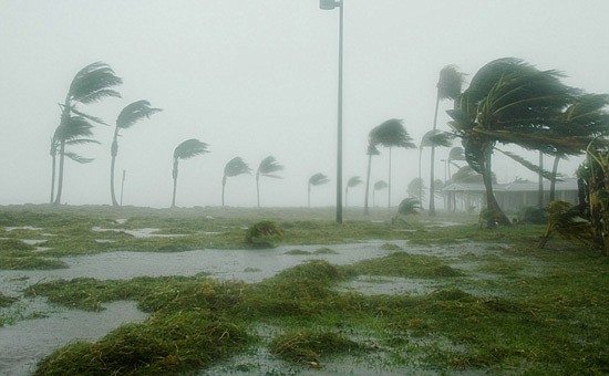 U.S. NAVY PHOTO BY JIM BROOKS - Hurricane Dennis batters palm trees and floods parts of Naval Air Station Key West's Truman Annex on July 9, 2005. The storm passed within 125 miles of the base, pushing winds in excess of 90 mph and dumping more than 7...