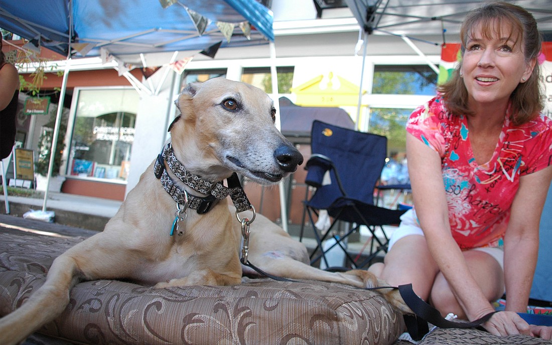 Photo by: Isaac Babcock - The Eighth Annual Doggie Art Festival was held Sunday, April 3. This event was hosted by The Doggie Door in Winter Park and BullFish Baldwin Park. It benefited the Sebastian Haul Fund, which helps local Greyhound groups trans...