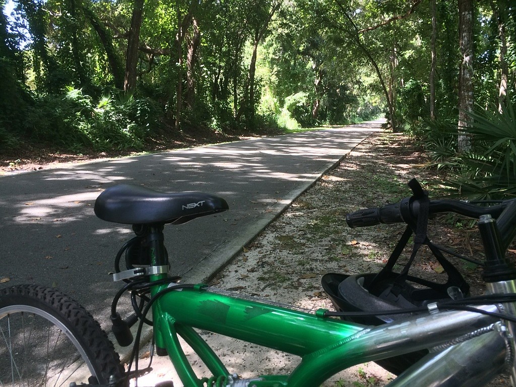 bike, trail