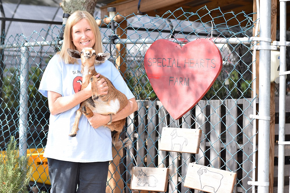 ESE teacher Kathy Meena holds Dolly, a miniature goat, outside her classesâ€™ Special Hearts Farm at Dr. Phillips High.