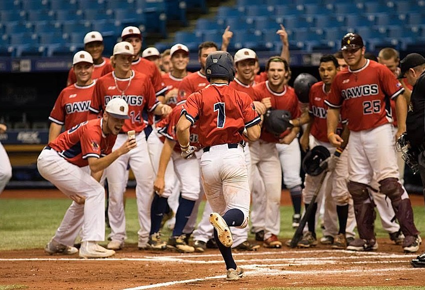 8th stop: Tropicana field (July 25th 2014)