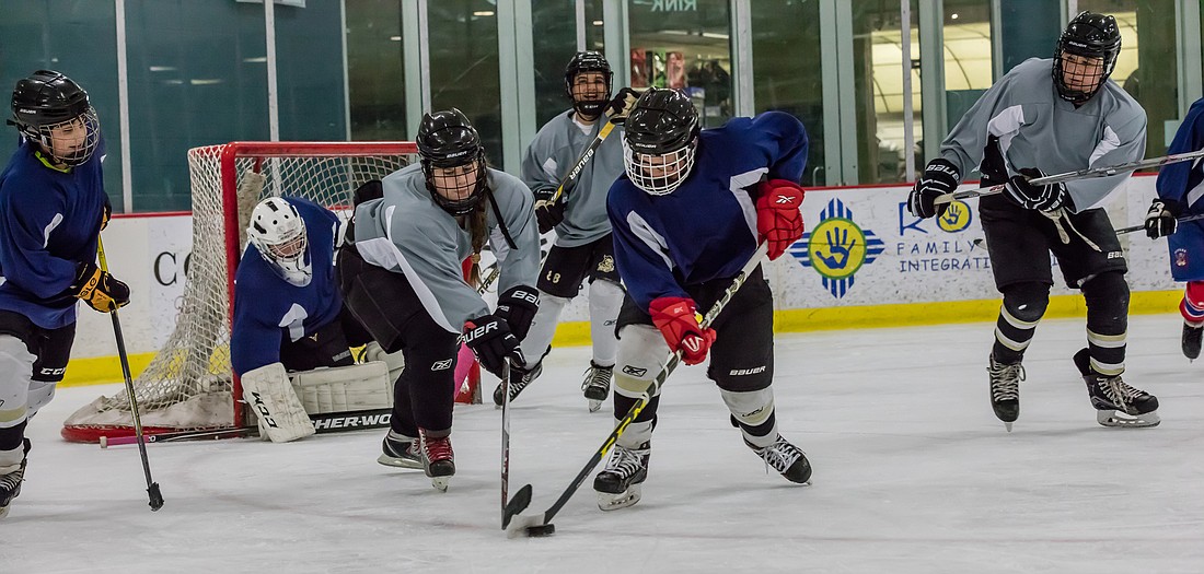 The RDV Sportsplex Ice Den has helped hockey flourish in Central Florida.