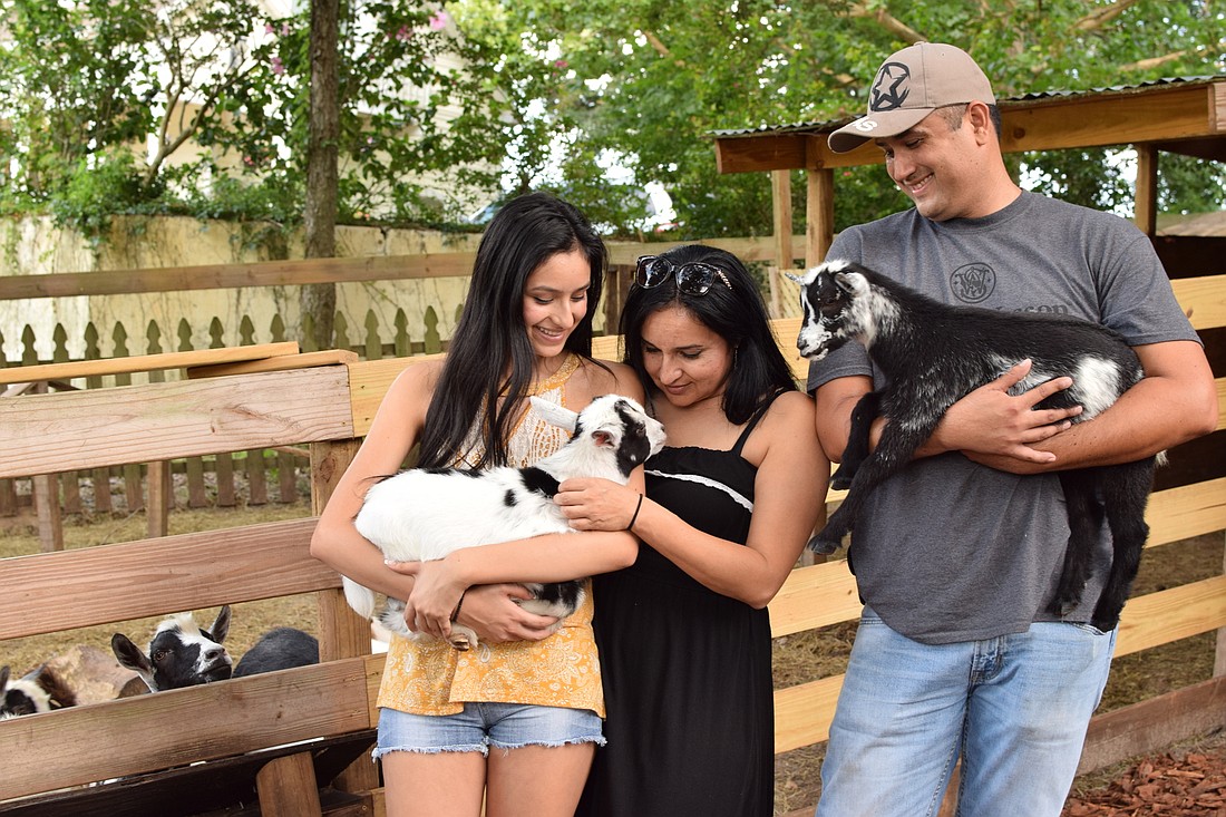 Victoria, Erika and David Jimenez show affection to their baby pygmy goats in their backyard animal rescue farm in Gotha.