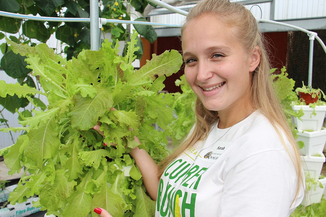 Senior agriscience student Sarah Lanier is just one of the students who maintains Ocoee Highâ€™s new greenhouse, where students grow fresh vegetables, such as lettuce and cucumbers, using hydroponic methods.