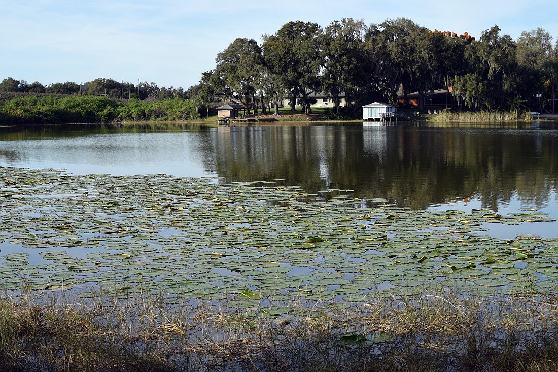 The water quality of the 19-acre Lake Prima Vista in Ocoee has been degrading.